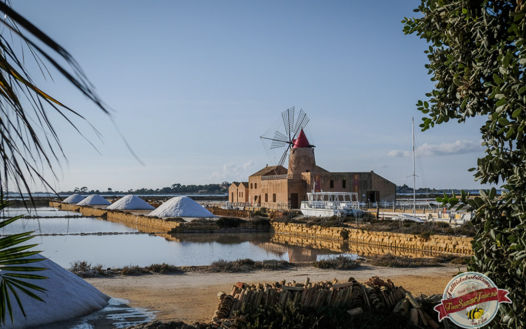 Sykkeltur til saltlagunene