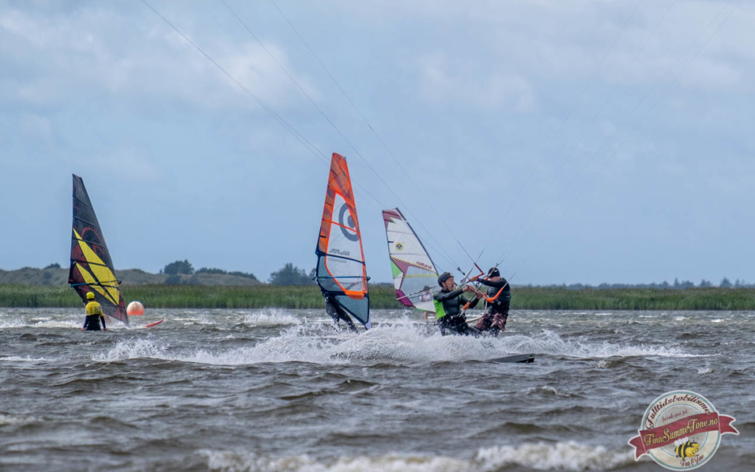 Kiting i Bork Havn